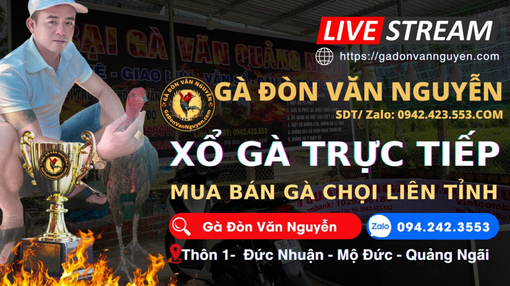 Video 18h45 ngày 3/9 – CLB Gà Đòn Văn Nguyễn